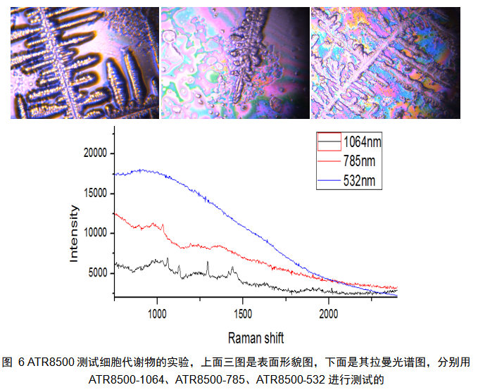 ATR8500_全自动对焦 显微激光拉曼光谱成像仪